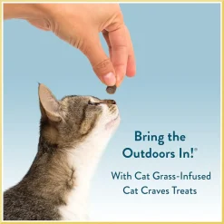 Pet Greens Cat Craves Semi-Moist Salmon Soft Treats For Cats (3 oz)