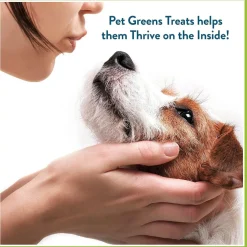 Pet Greens Li'l Treats Salmon Soft Mini Dog Treats, 6-oz