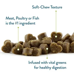 Pet Greens Li'l Treats Salmon Soft Mini Dog Treats, 6-oz