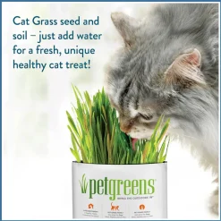 Pet Greens Medley Pet Grass Self-Grow Kit Organic Oat, Rye, & Barley Blend, 3-oz
