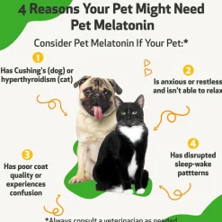 Pet Melatonin for Cats (4 oz)