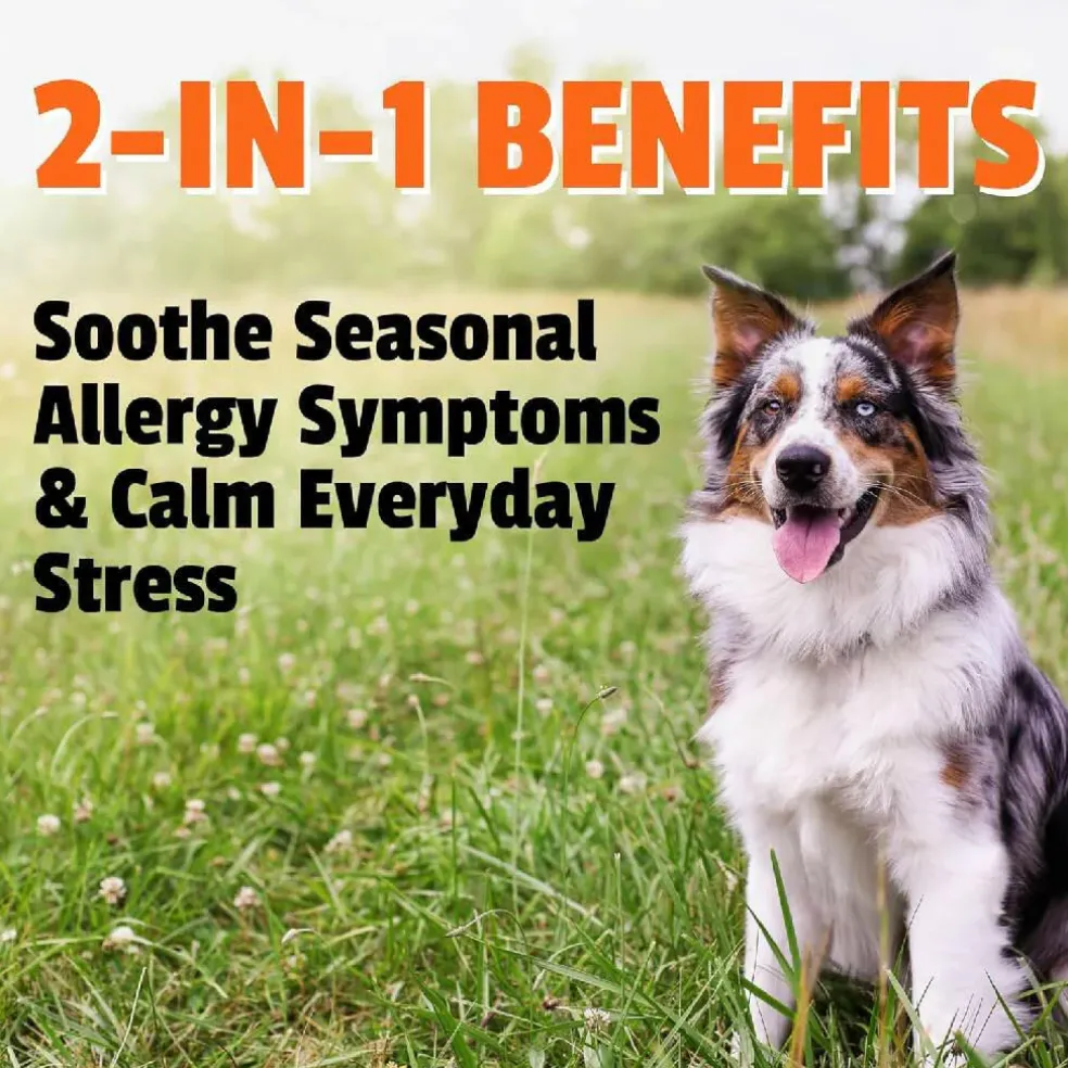 Pet Naturals Allergy + Calming Supplement Chews for Dogs (60 count)