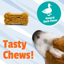 Pet Naturals Allergy + Calming Supplement Chews for Dogs (60 count)