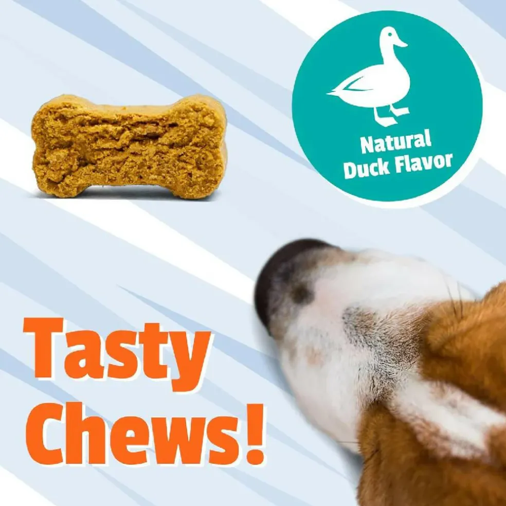 Pet Naturals Allergy + Calming Supplement Chews for Dogs (60 count)