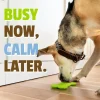 Pet Naturals BusyButter Calming Peanut Butter for Dogs (6 oz)