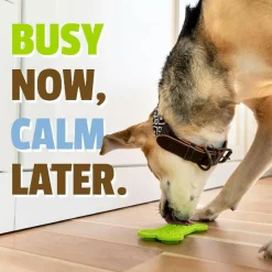 Pet Naturals BusyButter Calming Peanut Butter for Dogs (6 oz)