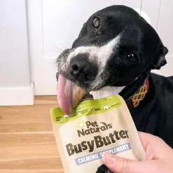Pet Naturals BusyButter Calming Peanut Butter for Dogs (6 oz)