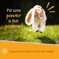 Pet Naturals Hip + Joint Chews for Cats (30 count)