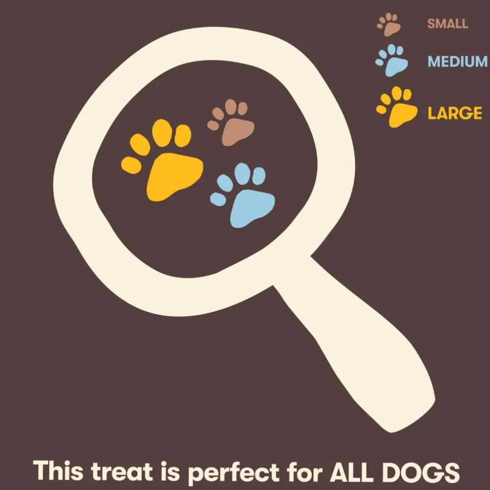 Pet 'n Shape Chik 'n Skewers Treats For Dogs
