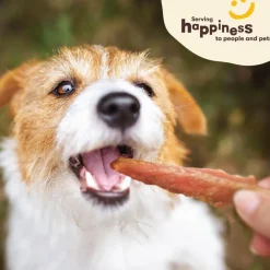 Pet 'n Shape Chik 'n Skewers Treats For Dogs