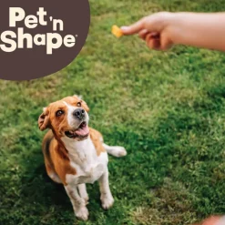 Pet 'n Shape Duck Breast Jerky Treats For Dogs (1 lb)