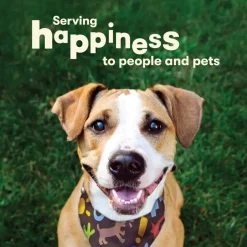 Pet 'n Shape Duck'n Hide Twists Duck Wrapped Rawhide Treats For Dogs