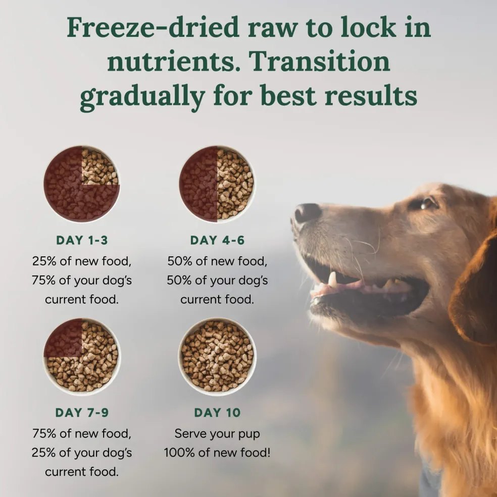 360 Pet Nutrition Beef Formula Freeze-Dried Raw Dog Food