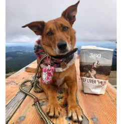 360 Pet Nutrition Beef Liver Freeze-Dried Raw Dog Treats, 4-oz