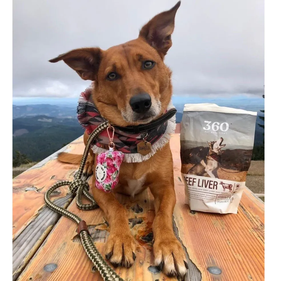 360 Pet Nutrition Beef Liver Freeze-Dried Raw Dog Treats, 4-oz