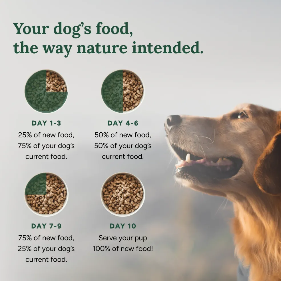 360 Pet Nutrition Chicken Freeze-Dried Raw Complete Meal for Adult Dogs