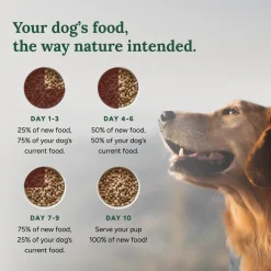 360 Pet Nutrition Multi-Meat Freeze-Dried Raw Complete Meal for Adult Dogs