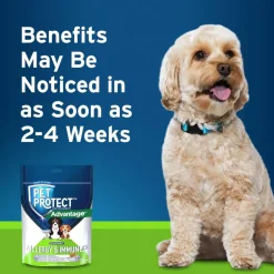 Pet Protect Allergy & Immune + Soft Chews for Dogs (60 ct)