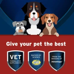 Pet Protect Hip & Joint Synovi G4 for Dogs, Chicken Flavor