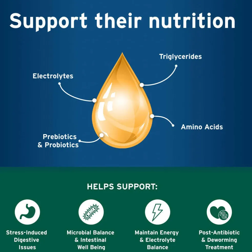 Pet Protect Probiotic Balance Plus Oral Gel Endurosyn for Cats, Chicken & Fish Flavor, 15g