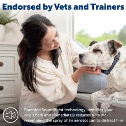 PetSafe Audible Bark Collar with Soundburst Technology