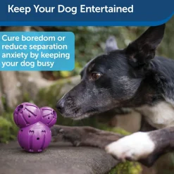 Petsafe Busy Buddy Barnacle Treat Dispenser Tough Dog Chew Toy Purple