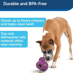 Petsafe Busy Buddy Barnacle Treat Dispenser Tough Dog Chew Toy Purple