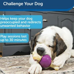 Petsafe Busy Buddy Bouncy Bone Treat Dispenser Dog Chew Toy