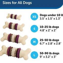 Petsafe Busy Buddy Bristle Bone Treat Dispenser Dog Chew Toy