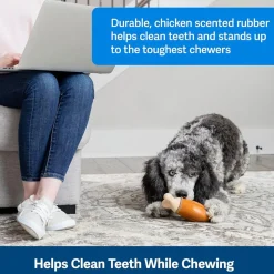 Petsafe Busy Buddy Chompin' Chicken Treat Dispenser Dog Toy