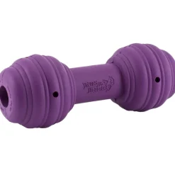 PetSafe Busy Buddy Chuckle Treat Dispenser Dog Toy, Medium/Large