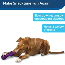 PetSafe Busy Buddy Chuckle Treat Dispenser Dog Toy, Medium/Large