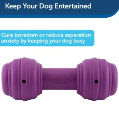 PetSafe Busy Buddy Chuckle Treat Dispenser Dog Toy, Medium/Large