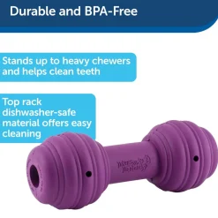 PetSafe Busy Buddy Chuckle Treat Dispenser Dog Toy, Medium/Large