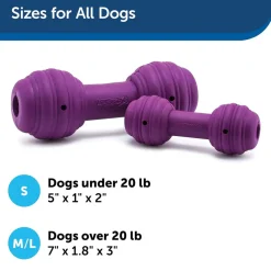 PetSafe Busy Buddy Chuckle Treat Dispenser Dog Toy, Medium/Large