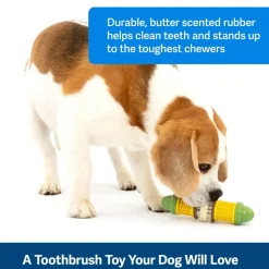 Petsafe Busy Buddy Cravin Corncob Treat Holding Dog Toy