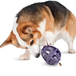 Petsafe Busy Buddy Dog Toy Kibble Nibble Treat Dispenser Dog Toy