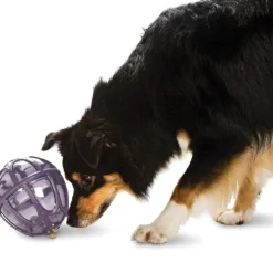 Petsafe Busy Buddy Dog Toy Kibble Nibble Treat Dispenser Dog Toy