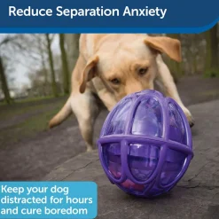 Petsafe Busy Buddy Dog Toy Kibble Nibble Treat Dispenser Dog Toy