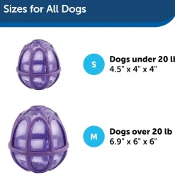 Petsafe Busy Buddy Dog Toy Kibble Nibble Treat Dispenser Dog Toy