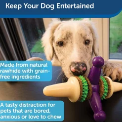 Petsafe Busy Buddy Jack Treat Dispenser Dog Chew Toy, Purple/White