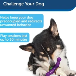 Petsafe Busy Buddy Jack Treat Dispenser Dog Chew Toy, Purple/White