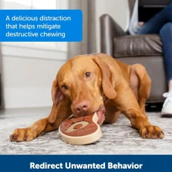 Petsafe Busy Buddy Natural Rawhide Rings Dog Treats