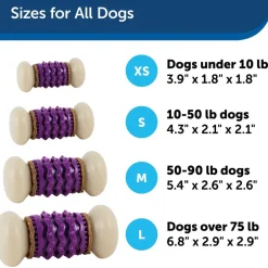 Petsafe Busy Buddy Nobbly Nubbly Treat Dispensing Dog Chew Toy