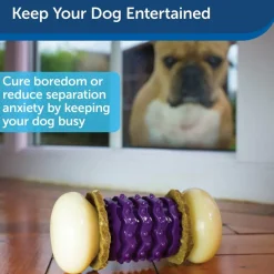 Petsafe Busy Buddy Nobbly Nubbly Treat Dispensing Dog Chew Toy