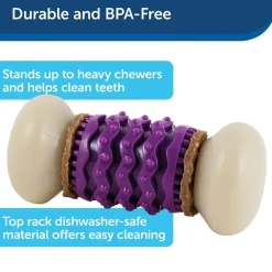 Petsafe Busy Buddy Nobbly Nubbly Treat Dispensing Dog Chew Toy