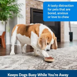 Petsafe Busy Buddy Slab o' Sirloin Treat Holding Dog Toy