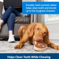 Petsafe Busy Buddy Slab o' Sirloin Treat Holding Dog Toy