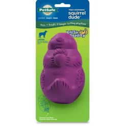 Petsafe Busy Buddy Squirrel Dude Treat Dispenser Dog Chew Toy