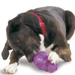 Petsafe Busy Buddy Squirrel Dude Treat Dispenser Dog Chew Toy
